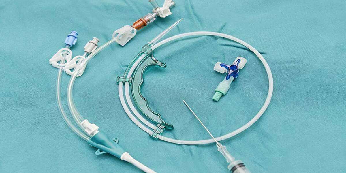 Centesis Catheters Market Size by 2032 | Industry Segmentation by Type, Application, and Top Companies Profiles
