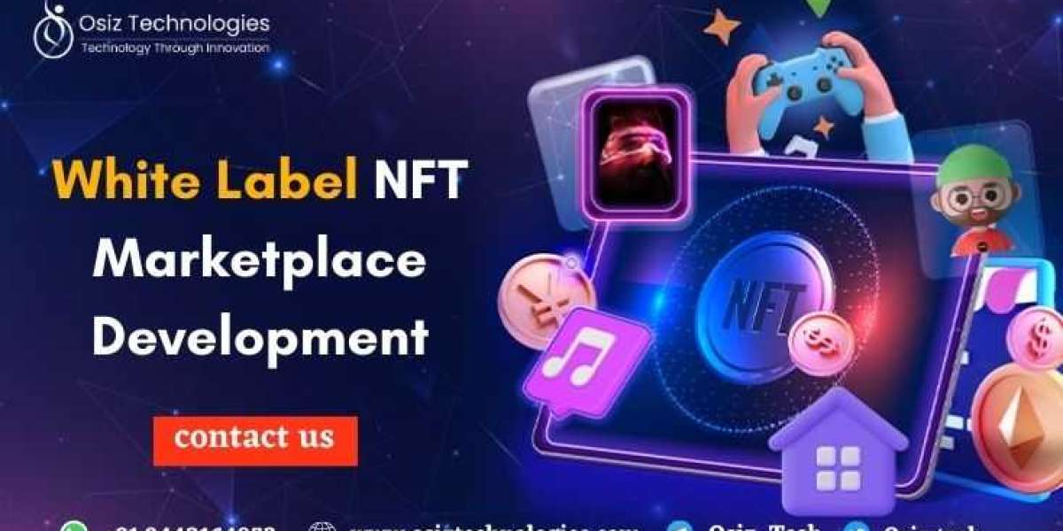 Everything You  Wanted to Know About White Label Nft Marketplace Development