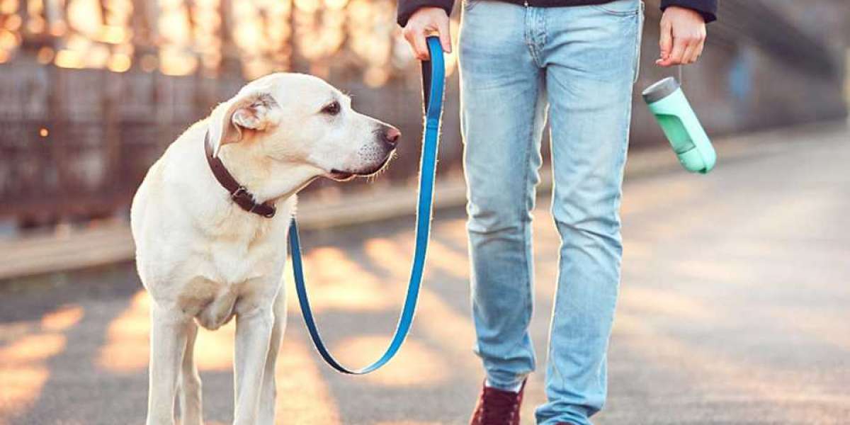 Using Hips and Joints Water to Support Your Dog's Joint Health