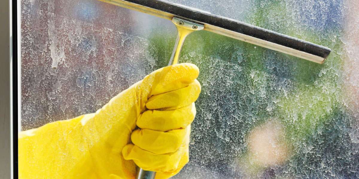 Maintaining Hygiene Standards: The Role of Professional Cleaning Services