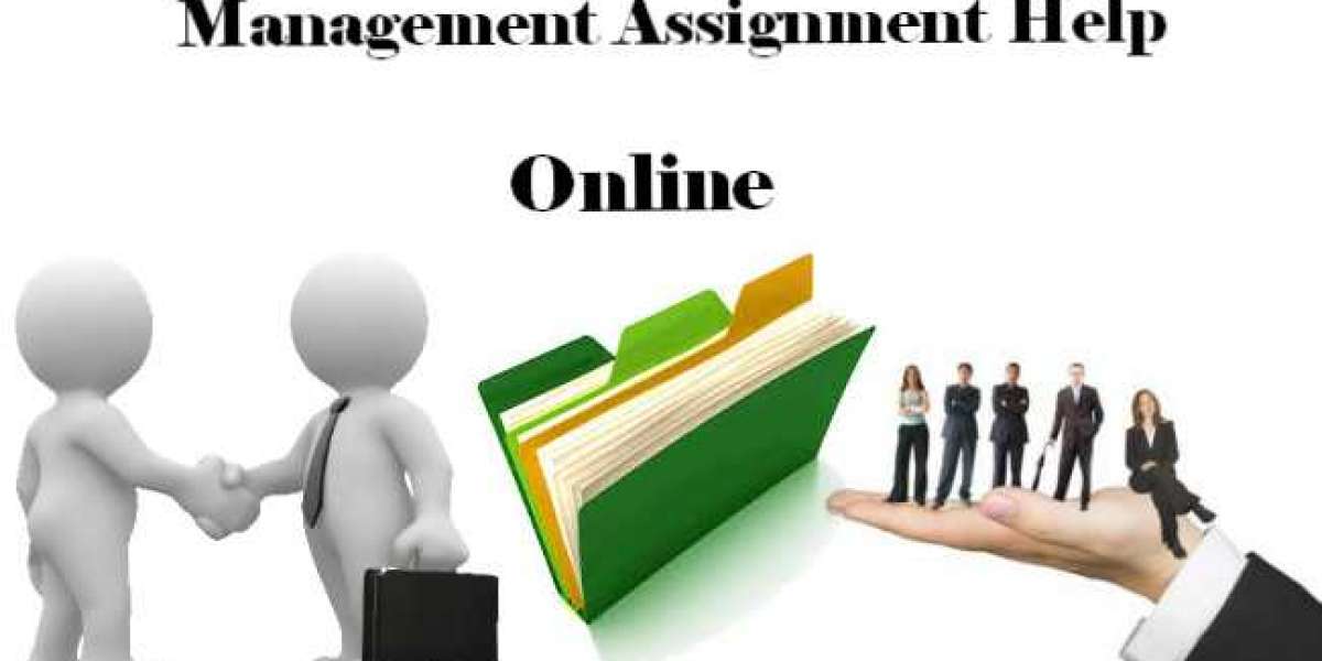 Choose the Best Management Assignment Help USA