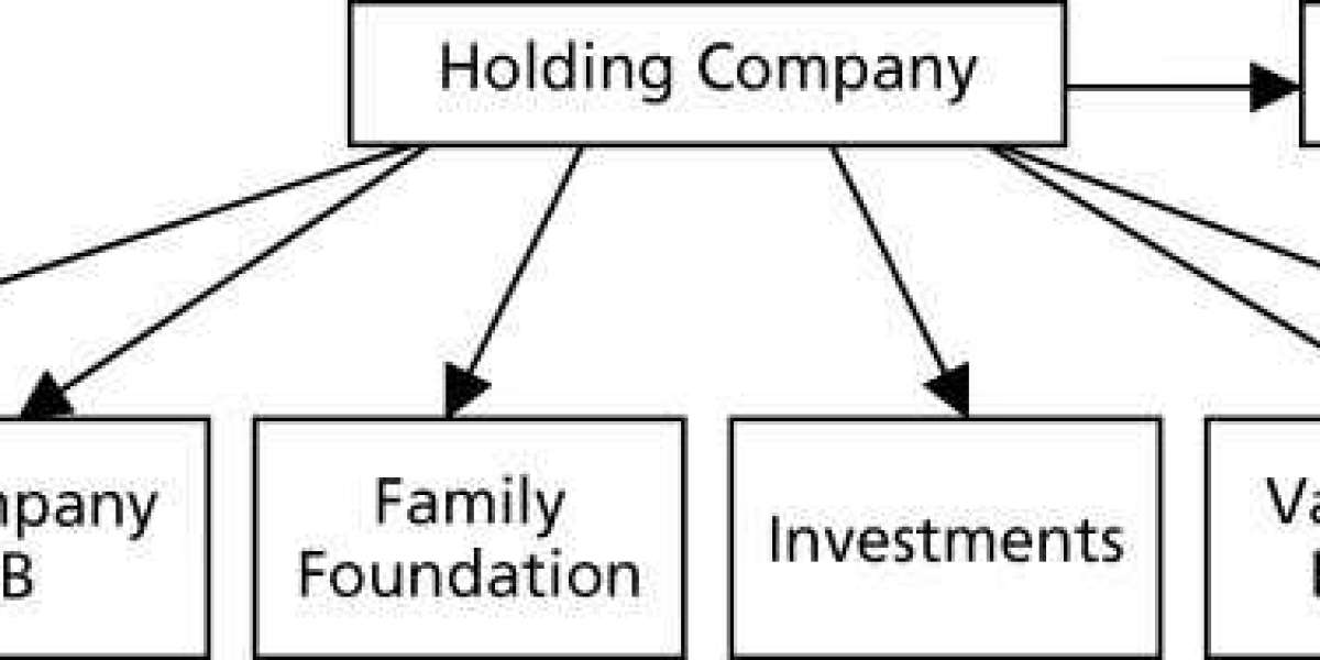 Advantages of a holding company