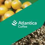 Atlantica Coffee profile picture