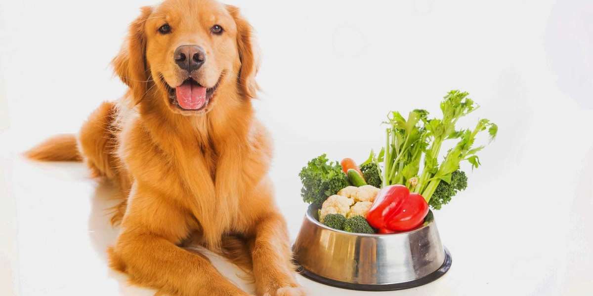 Unveiling the Benefits of Vitamin B4 for Dogs in Poland A Comprehensive Guide