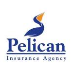 Pelican Insurance Agency Profile Picture