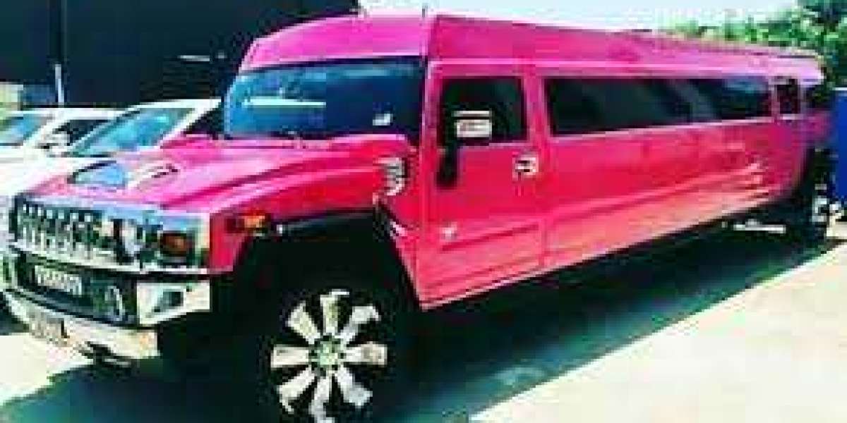 Luxe Limo Adventure: Hens Party Hummer Limo Experiences