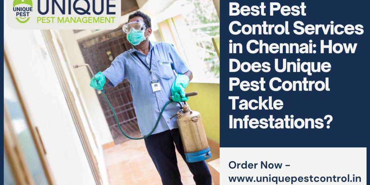 Best Pest Control Services in Chennai: How Does Unique Pest Control Tackle Infestations?