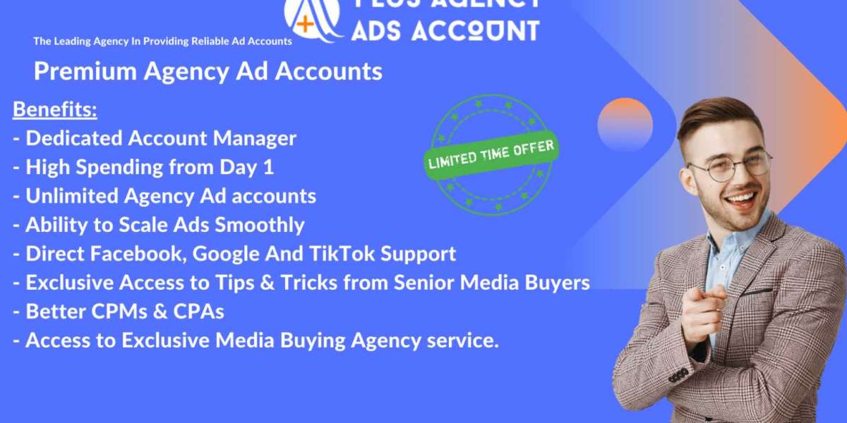 The Comprehensive Guide to Plus Agency's Facebook Agency Ad Accounts