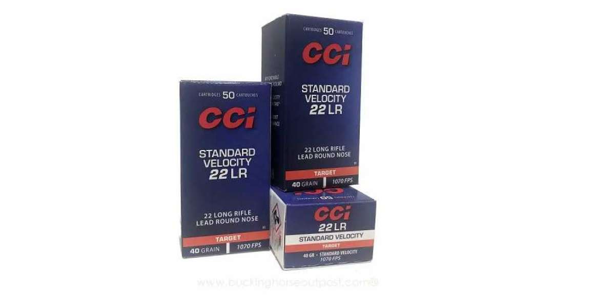 Before Buying .22LR Bulk Ammo: A Short Guide