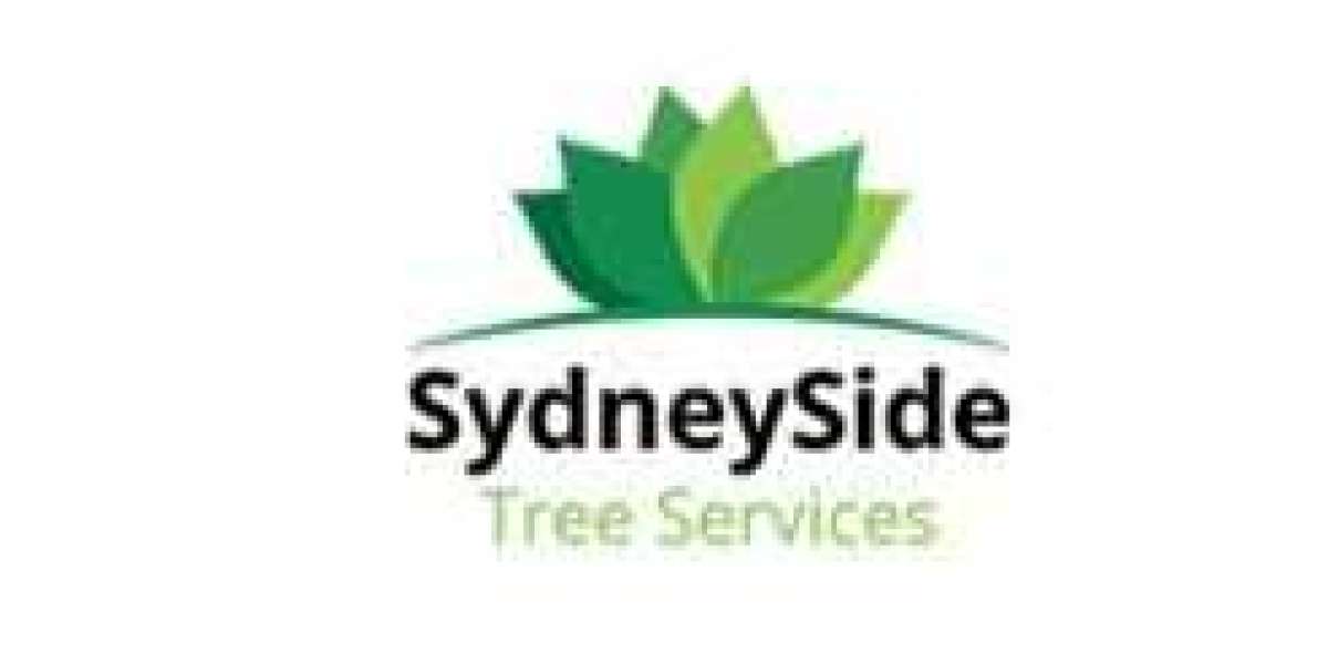 Need Emergency Tree Removal Sydney?