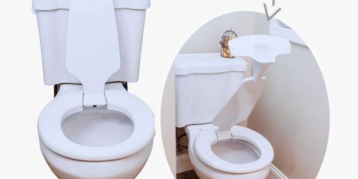 Toilet Urinal Seat: An Innovative Solution for Modern Bathroom