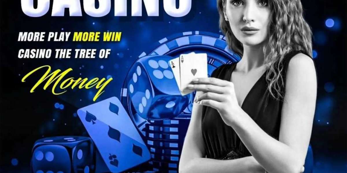 Universe of Online Casino Id: Picking the Right casino id provider  Diamond247Exch