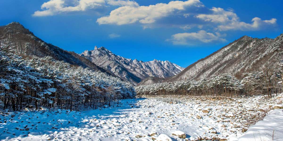 Leh Ladakh Unveiled: Journey Through Majestic Landscapes