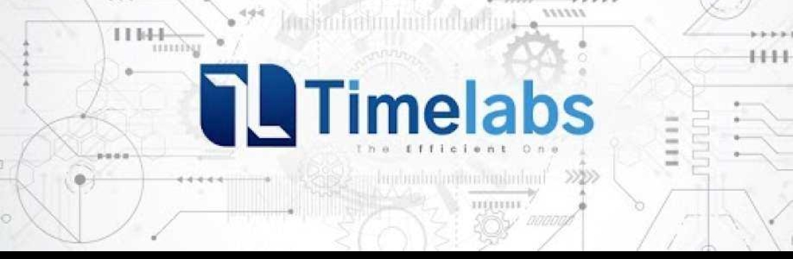 Timelabs Cover Image