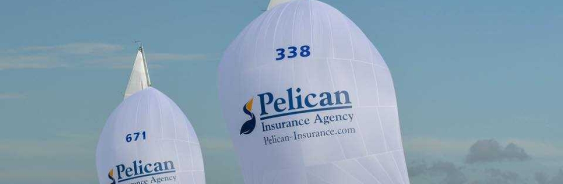 Pelican Insurance Cover Image