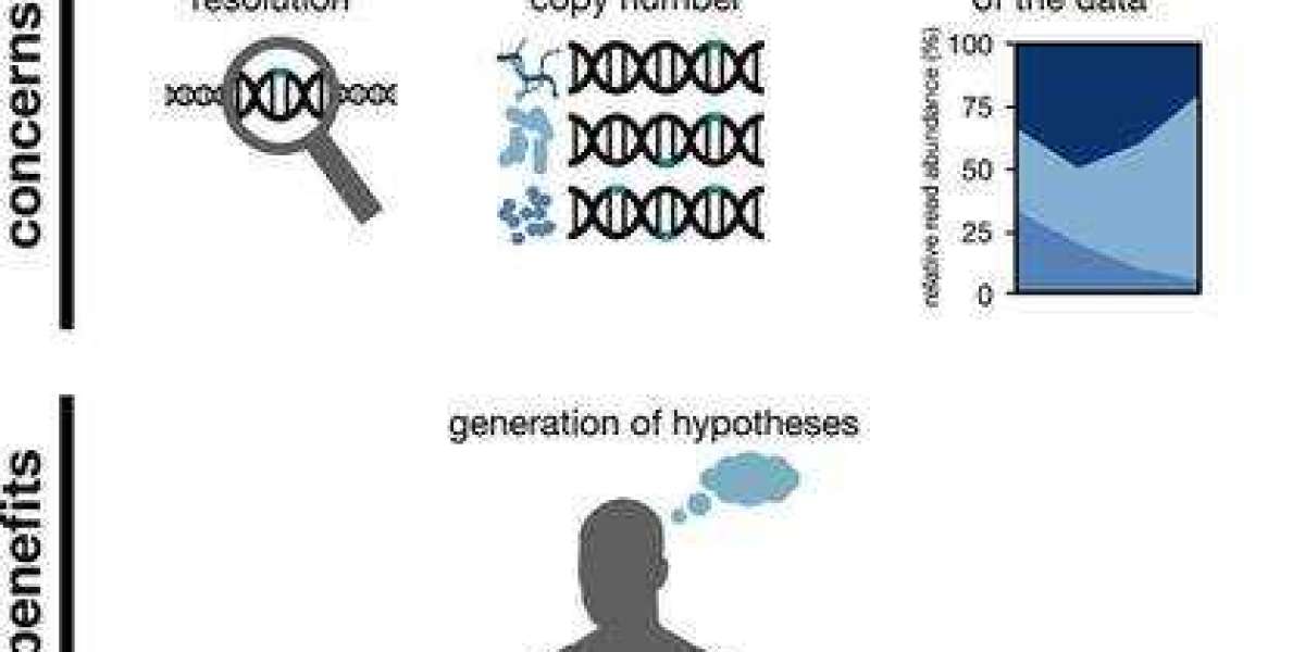 Enhancing Microbiome Function Prediction with 16s Full-Length Sequencing