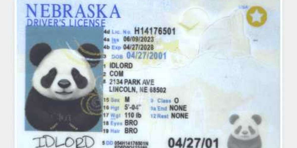 Unlock Your Potential: The Ultimate Guide to Buying a Fake ID for Your Next Big Adventure