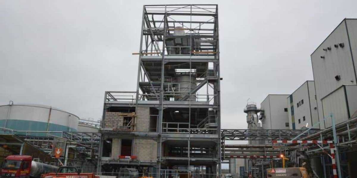 Amino Acid Manufacturing Plant Setup Report 2024: Cost, Raw Material Requirements and Infrastructure