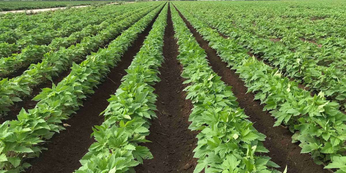 The Importance of Crop Supplies in Agriculture