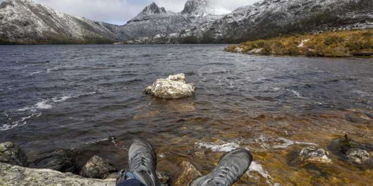 From Hiking to Wildlife Spotting: Discovering the Best Cradle Mountain Experiences