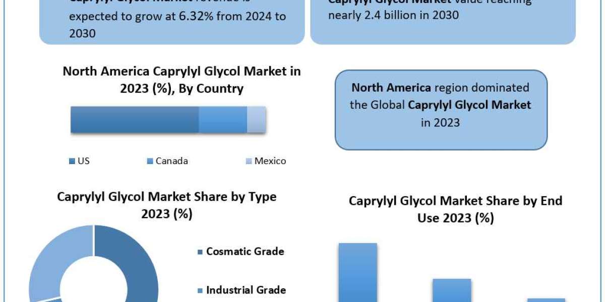 Caprylyl Glycol Market Size 2022 Industry Share, Future Trends, Present Data and Analysis 2030