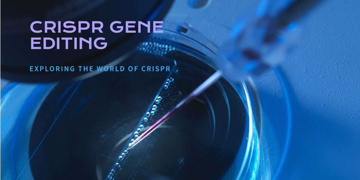 Top 5 Companies Transforming the Global CRISPR Gene Editing Market