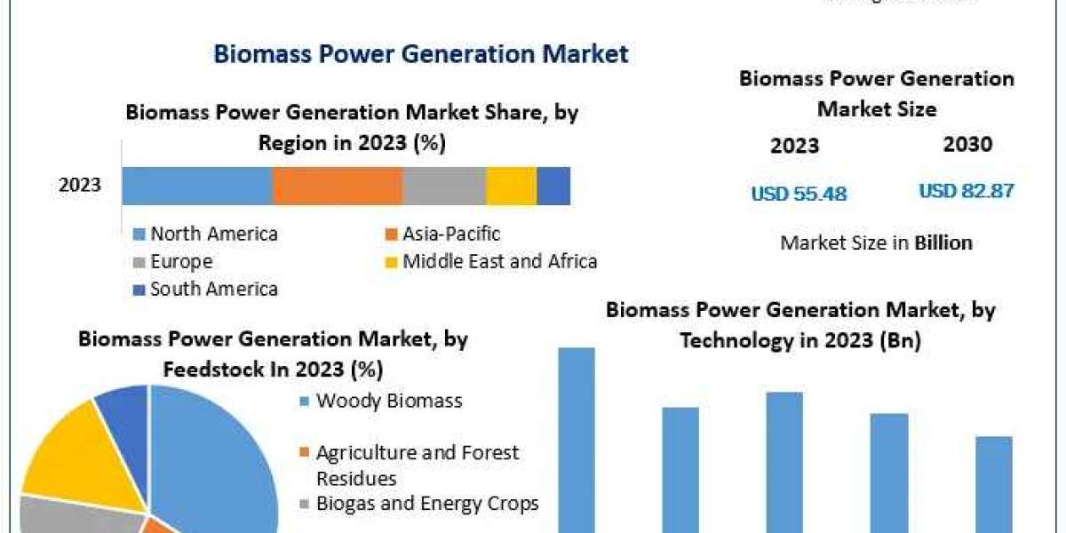 ​Biomass Power Generation Market Segments by Region, Growth, Sales and Forecast till 2030