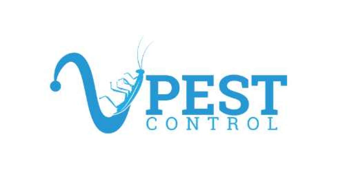 V Pest Control: The Best Pest Control Company for Your Home and Business