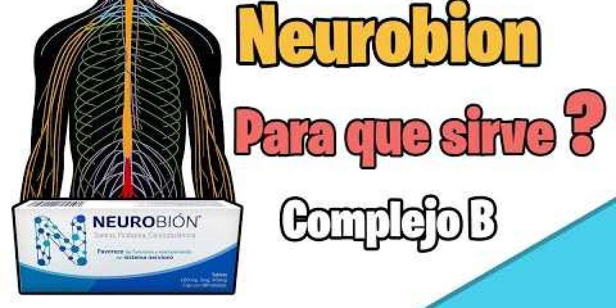 Qué es la ruda y para qué sirve: las propiedades de esta planta medicinal, sus contraindicaciones y cómo prepararla