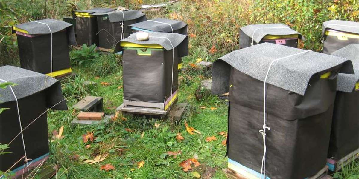 How Proper Beehive Insulation Improves Hive Efficiency and Bee Health