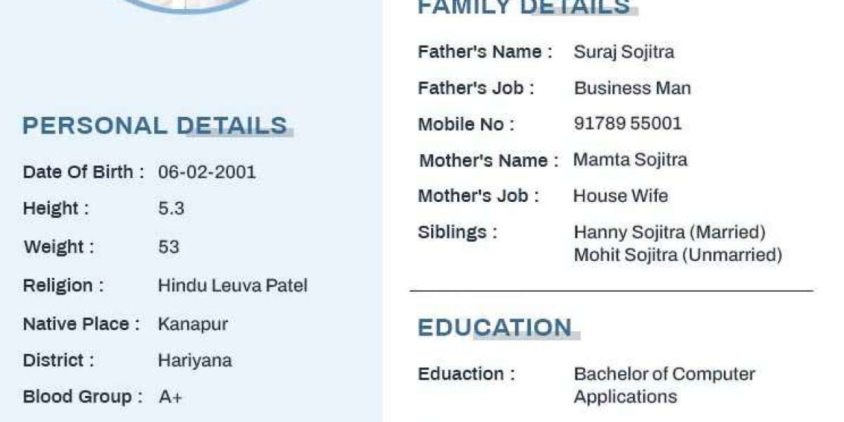 Comprehensive Guide for Prospective Marriage Biodata Format