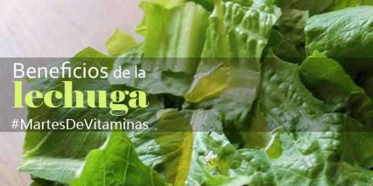 Infusión de romero: cómo prepararla receta y beneficios