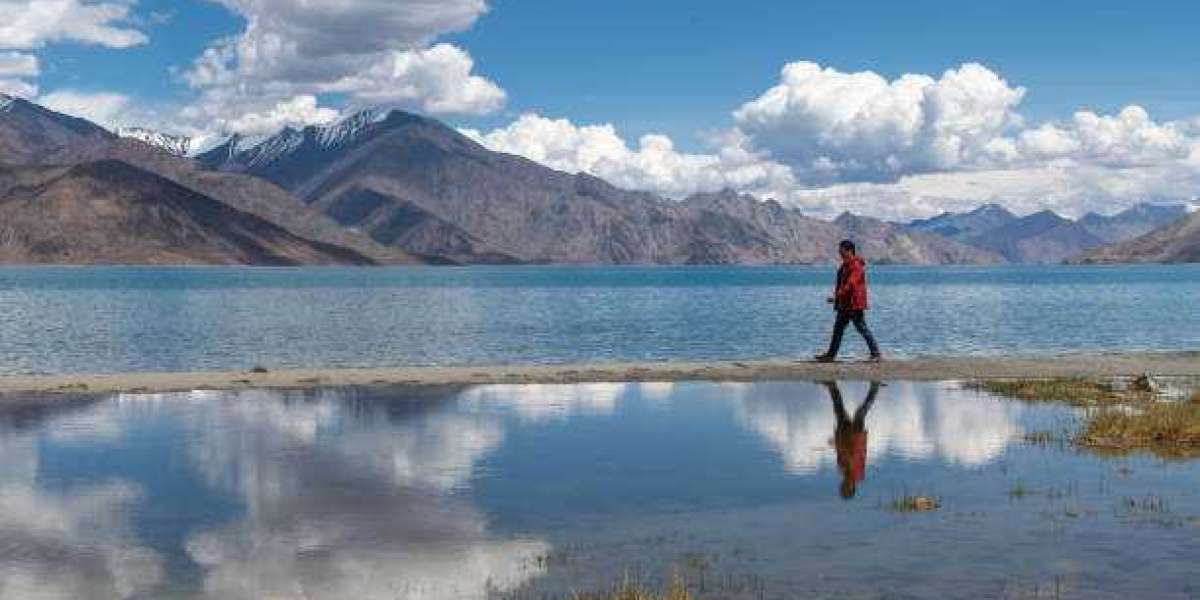 Find the Best of Kashmir with a Trusted Travel Agent